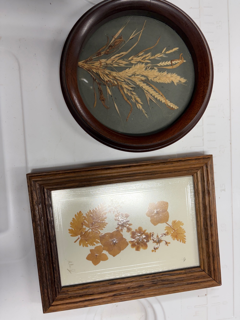 Vintage pressed flower art pieces - cottage core design set of 2